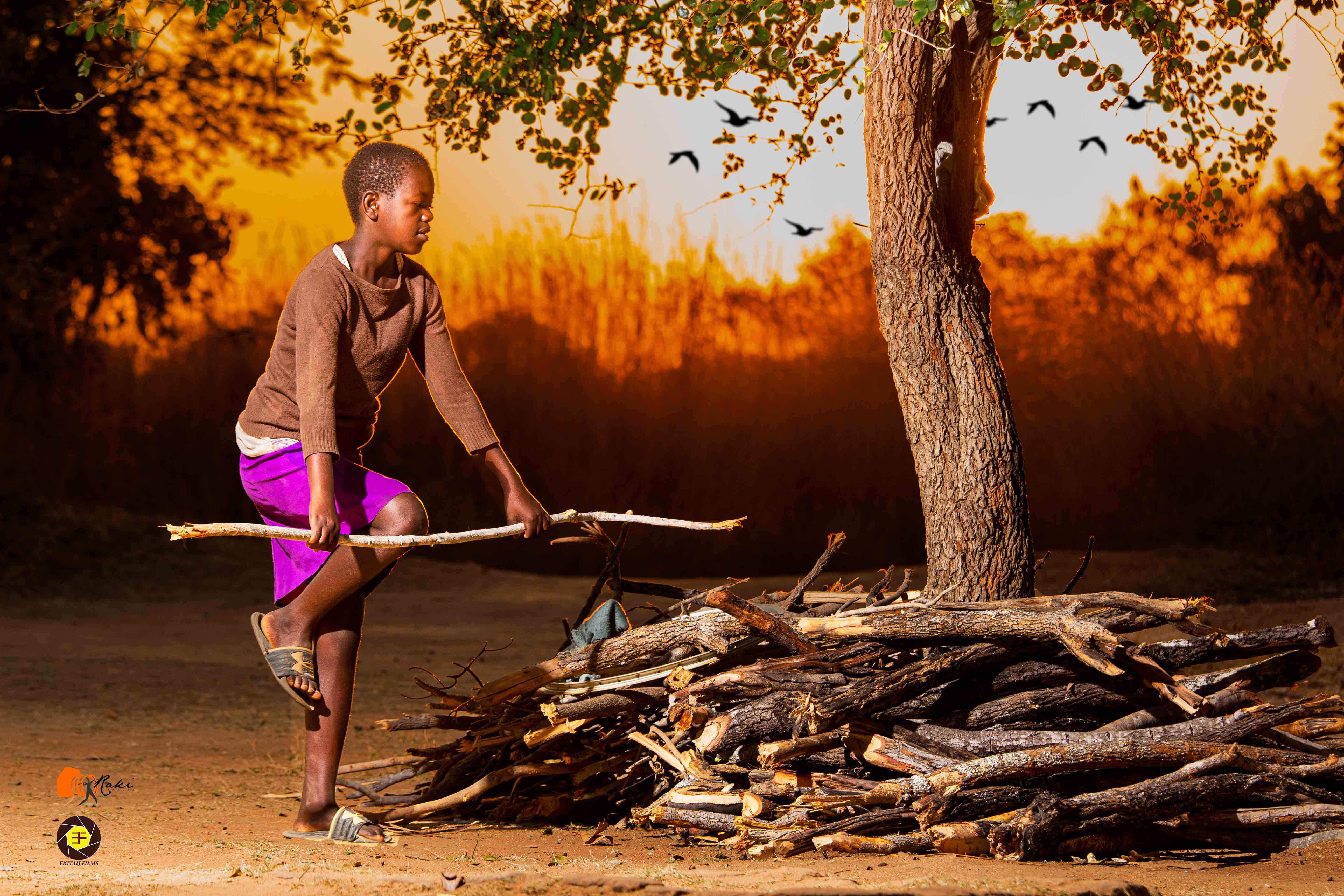 Rural Development